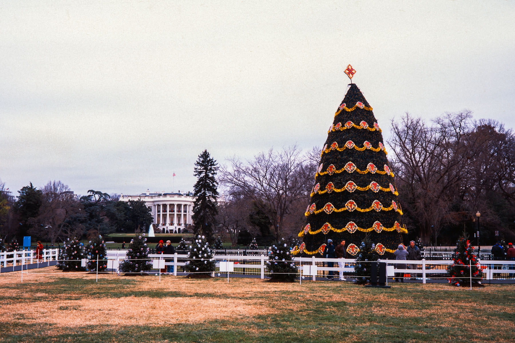 I was in Washington in 2002 after they had set up the National Christmas tree near the White House.  The lighting was a couple weeks later.  Click for next photo.