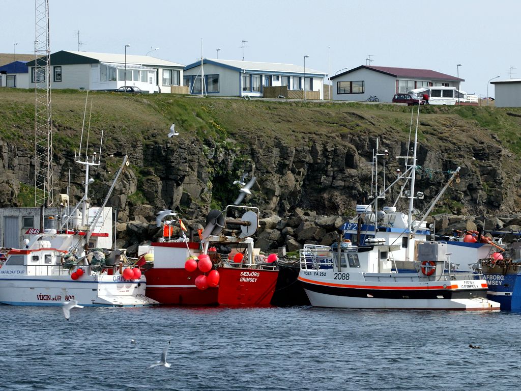 Part of the Grimsey fishing fleet at anchor below the little town.  Click for next photo.