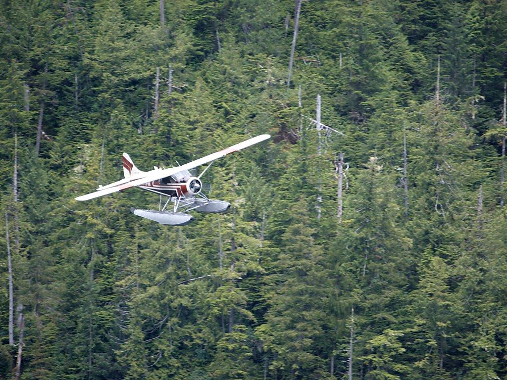 A float plane comes in for a landing on the fjord next to the Misty Fjords tour boat, Alaska.  Click for next photo.