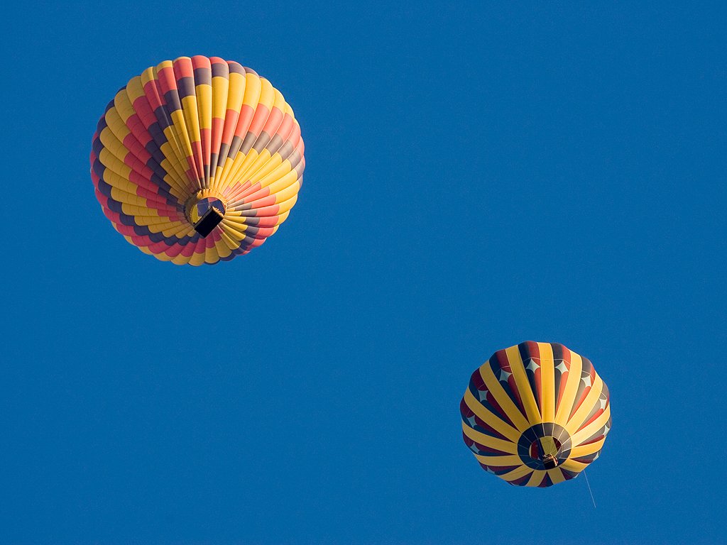 Balloons catch first light, Albuquerque Balloon Fiesta.  Click for next photo.