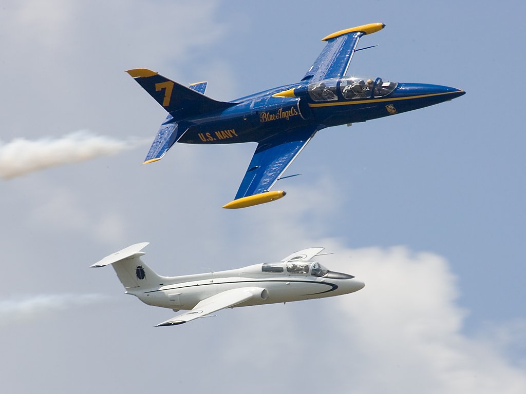 L-39 (blue) and L-29 jets of Czech origin, TICO Warbirds Air Show, Titusville, Florida, March 2008.  Click for next photo.