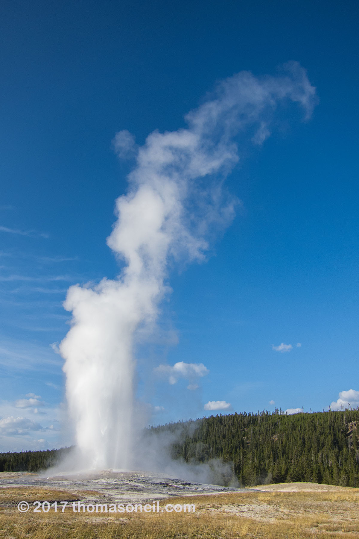 Old Faithful, Yellowstone National Park.  Click for next photo.