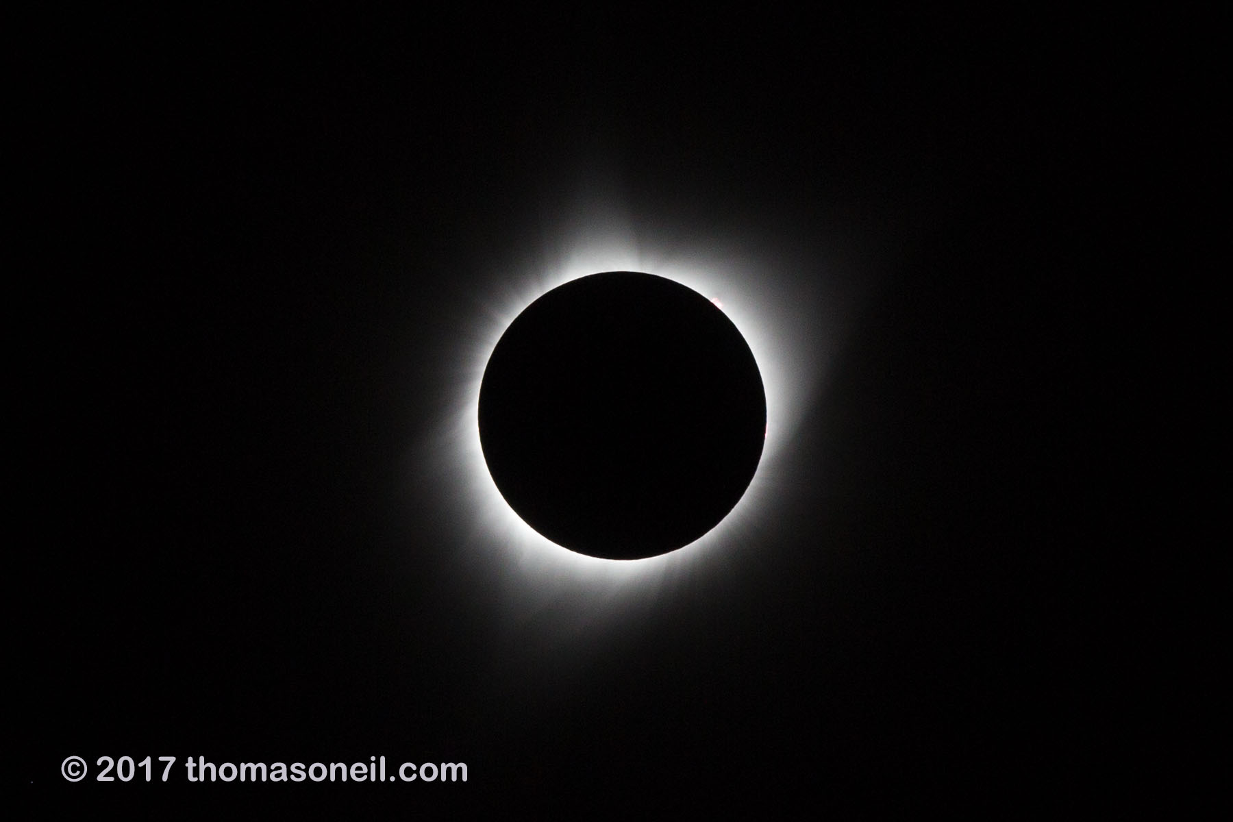 Solar eclipse, Aug. 21, 2017, faster shutter speed of 1/640 shows less of the corona and more of the details near the surface.  Click for next photo.