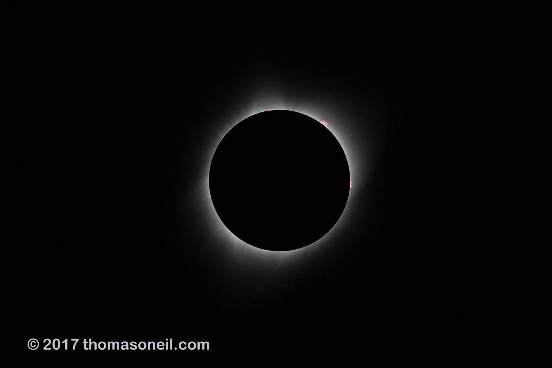 Solar eclipse, Aug. 21, 2017, very fast shutter speed (1/2500) reveals prominences rising from surface of the sun at 12:00, 1:00 and 3:00.  Click for next photo.