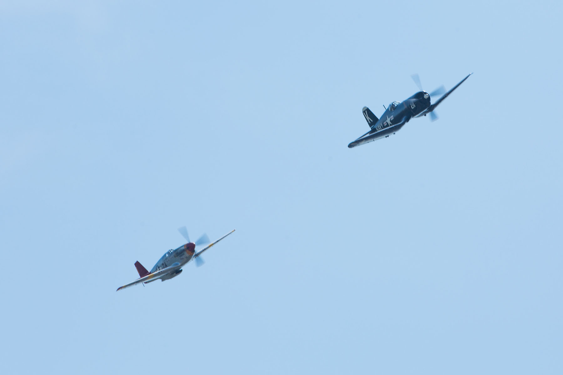 P-51 Mustang Red Tail chases F-4U Corsair, Sioux Falls Air Show, August 2019.  Click for next photo.