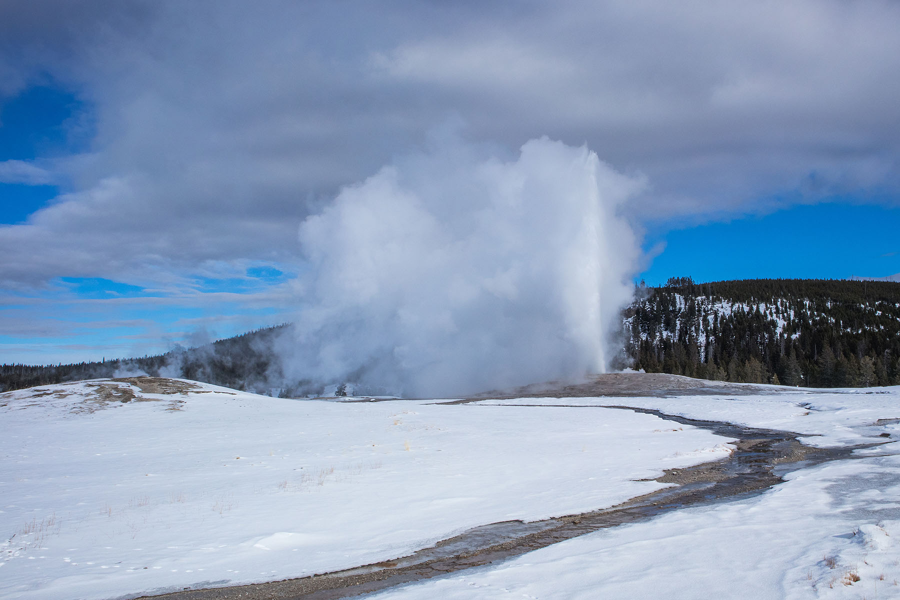 Old Faithful in winter, January 2021.  Click for next photo.