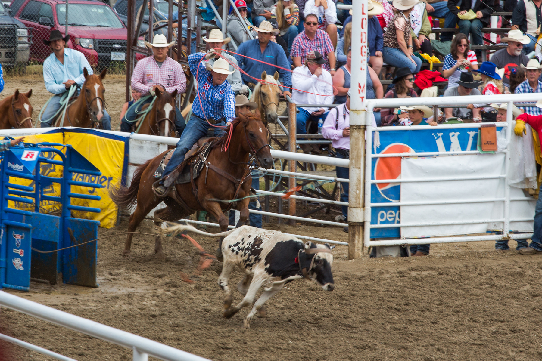 Team roping at Home of Champions Rodeo, Red Lodge, MT, July 4, 2021.  Click for next photo.