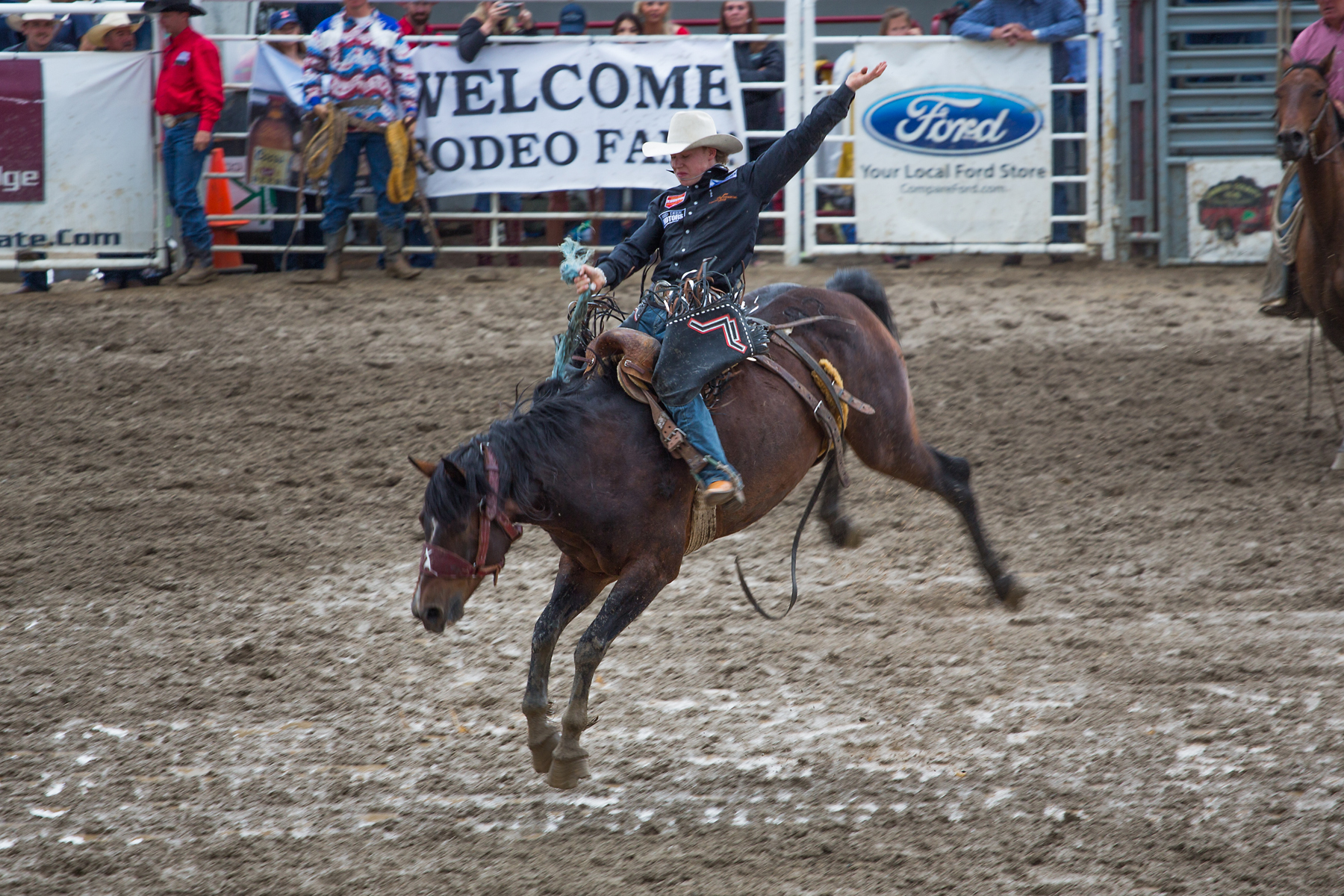 Saddle bronc at Home of Champions Rodeo, Red Lodge, MT, July 4, 2021.  Click for next photo.