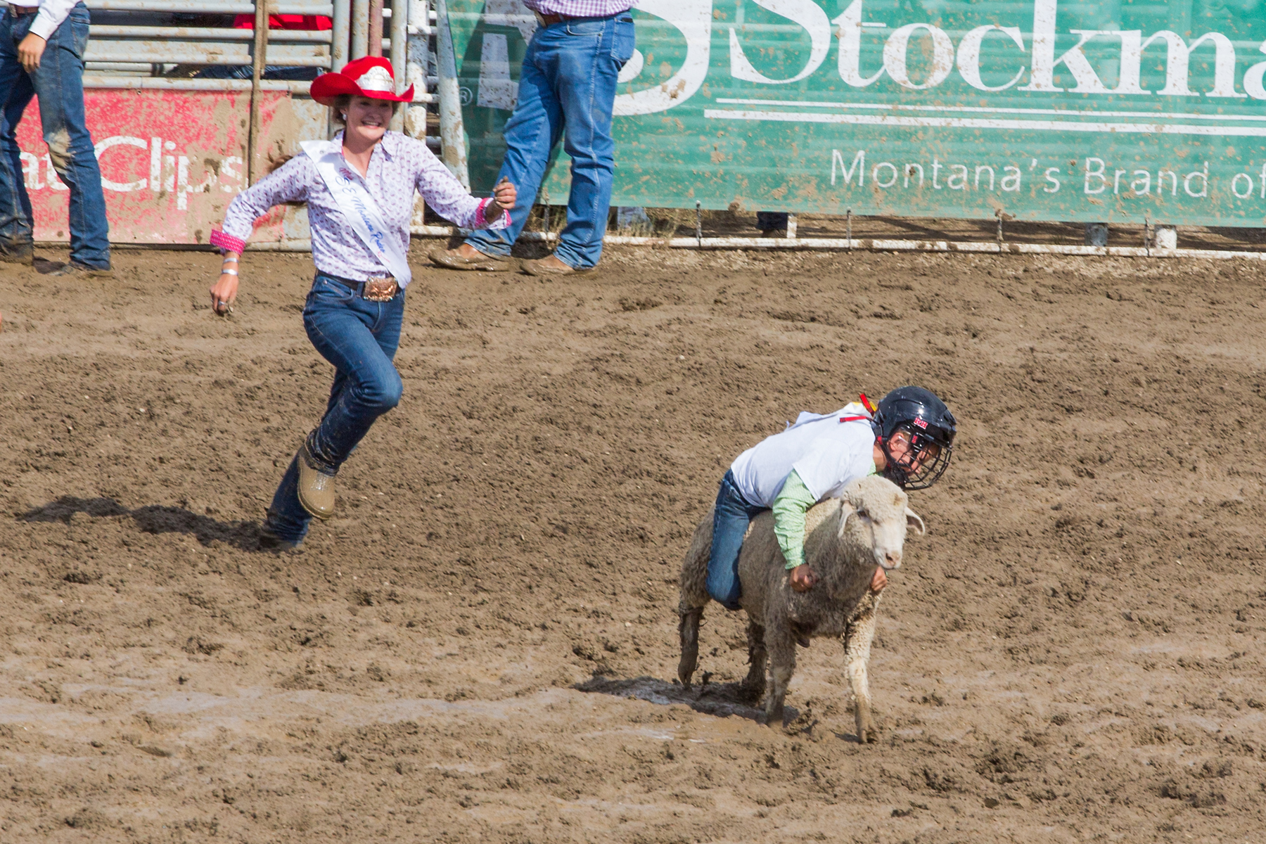 Mutton busting at Home of Champions Rodeo, Red Lodge, MT, July 4, 2021.  Click for next photo.