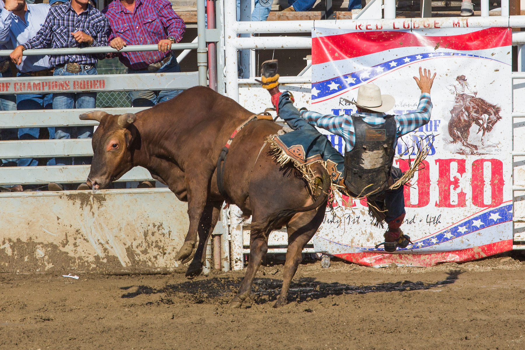 Bull riding at Home of Champions Rodeo, Red Lodge, MT, July 4, 2021.  Click for next photo.