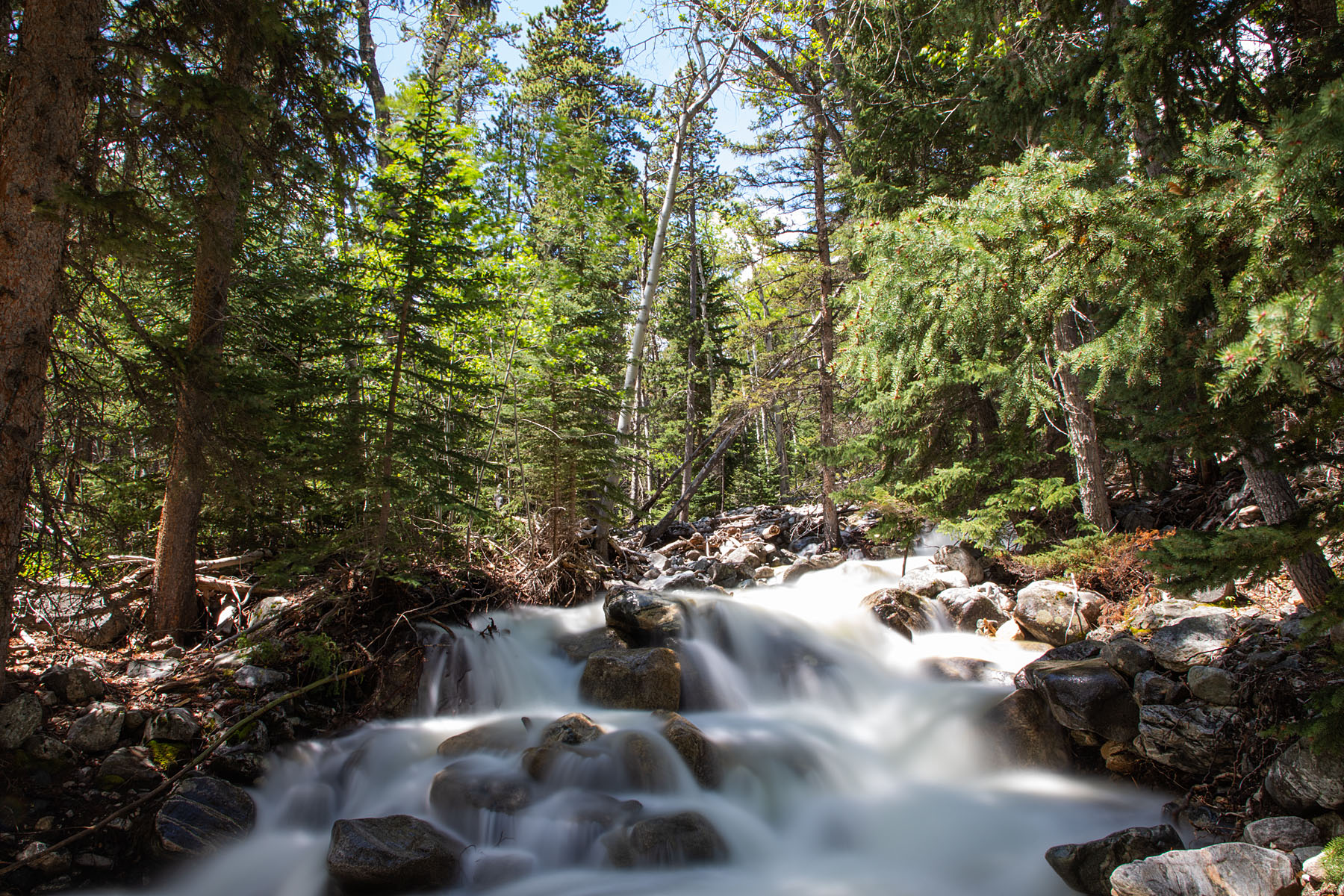 Snow Creek in the national forest,.  ND filter, exposure 15 seconds.  Click for next photo.