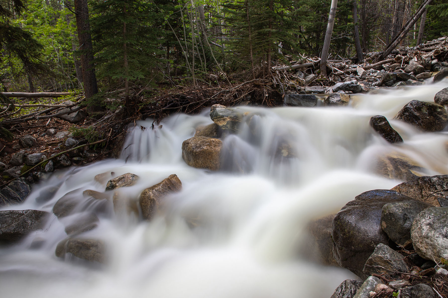 Snow Creek in the national forest,.  ND filter, exposure 13 seconds.  Click for next photo.