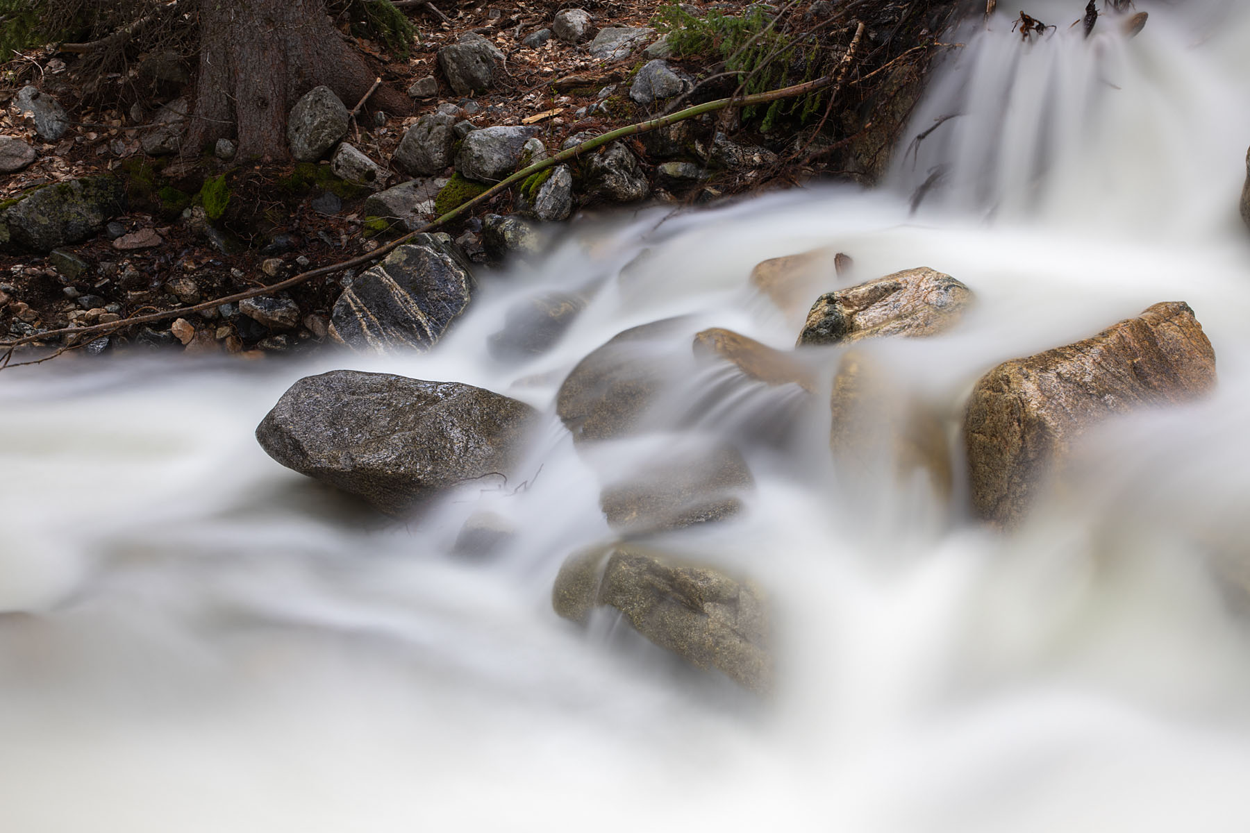 Snow Creek in the national forest,.  ND filter, exposure 13 seconds.  Click for next photo.