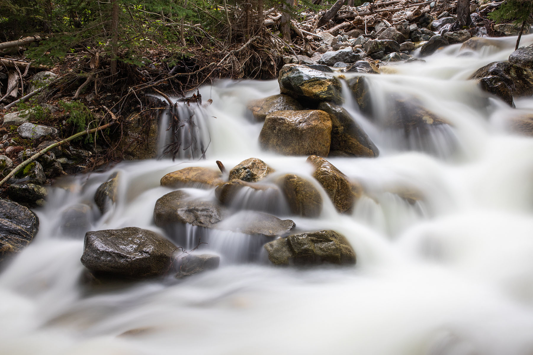 Snow Creek in the national forest,. Exposure 10 seconds, neutral density filter.  Click for next photo.