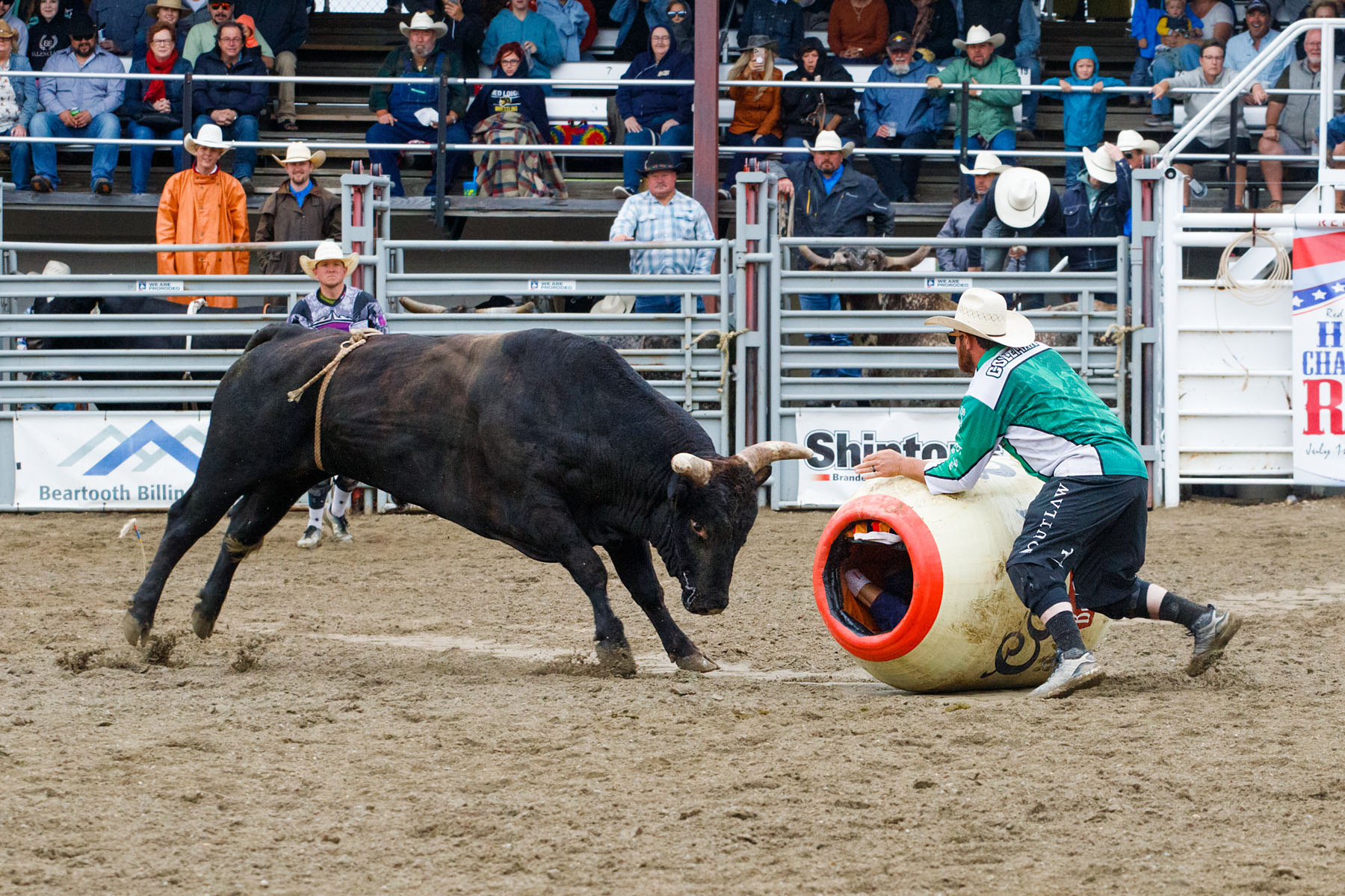 Bullfighter Ezra Coleman taunts the bull, PRCA Xtreme Bulls, Red Lodge, MT.  Click for next photo.