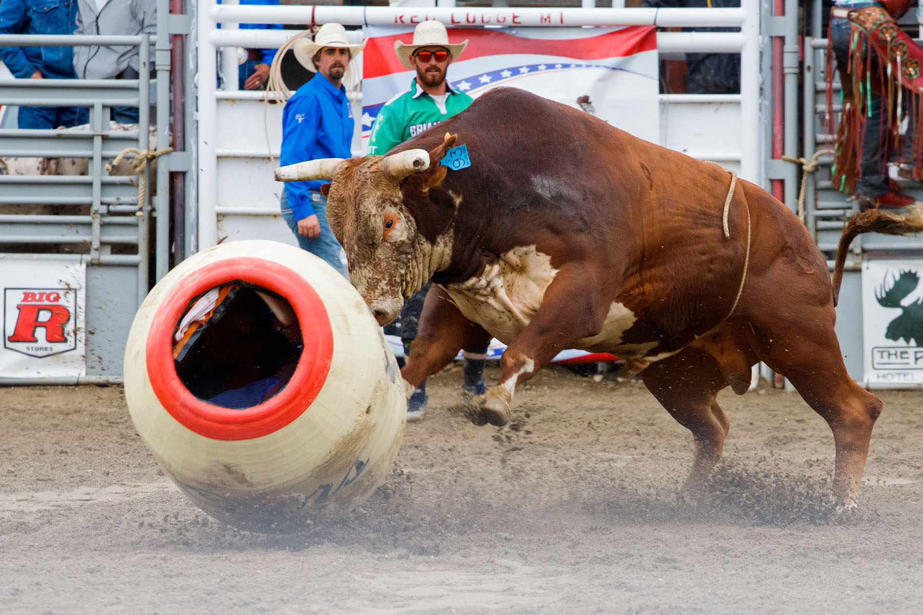 Bull takes out the clown barrel, PRCA Xtreme Bulls, Red Lodge, MT.  No clowns were harmed.  Click for next photo.