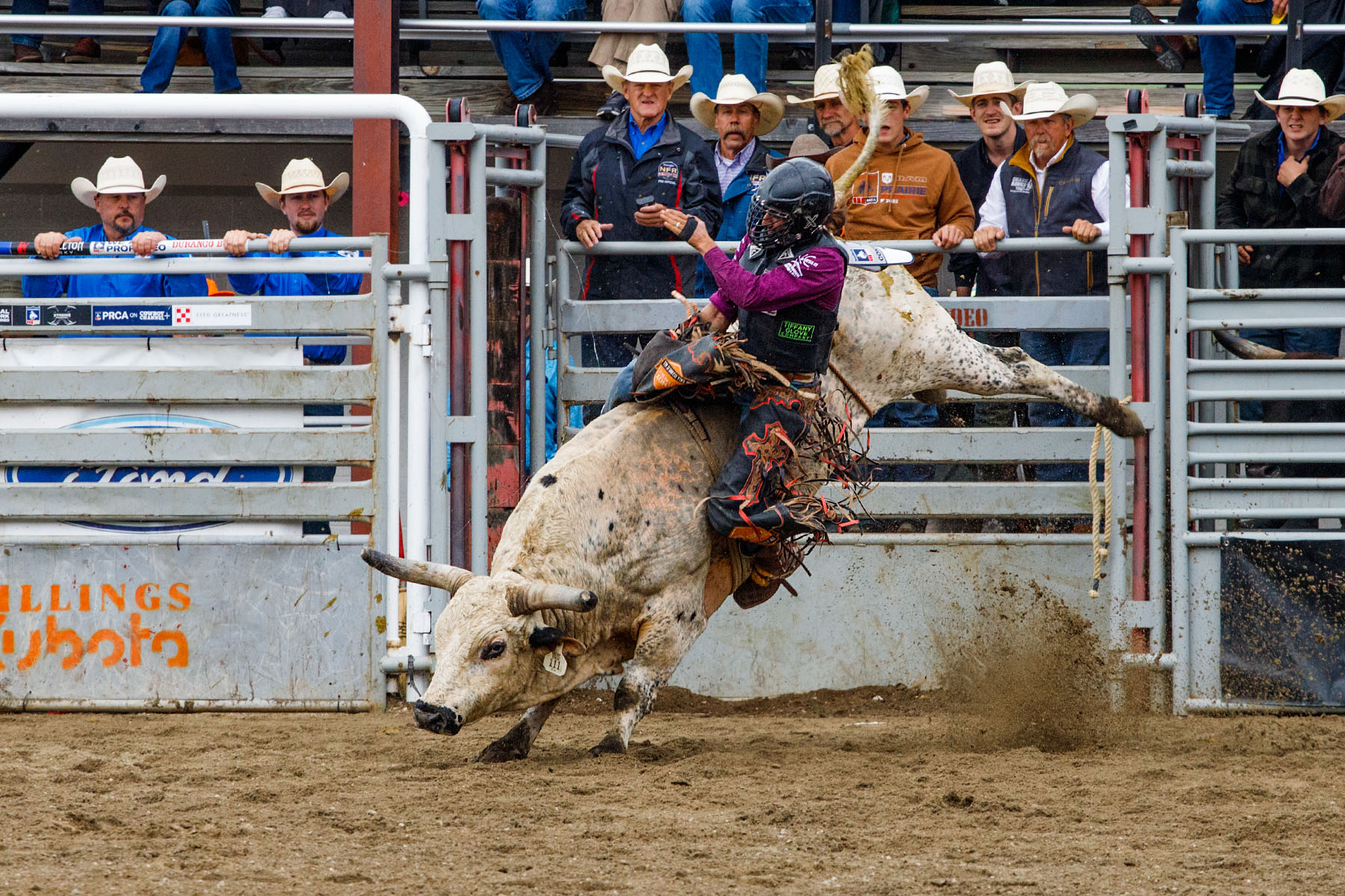PRCA Xtreme Bulls, Red Lodge, MT.  Click for next photo.