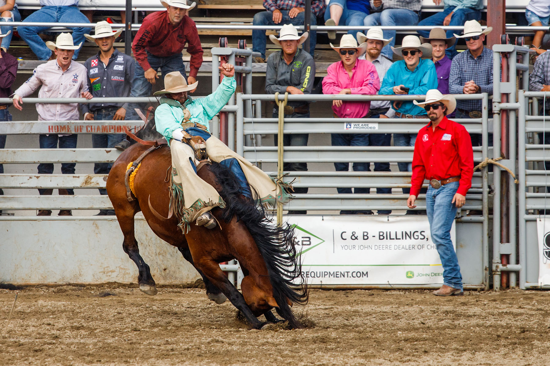 Bareback Bronc, Home of Champions Rodeo, Red Lodge, MT.  Click for next photo.