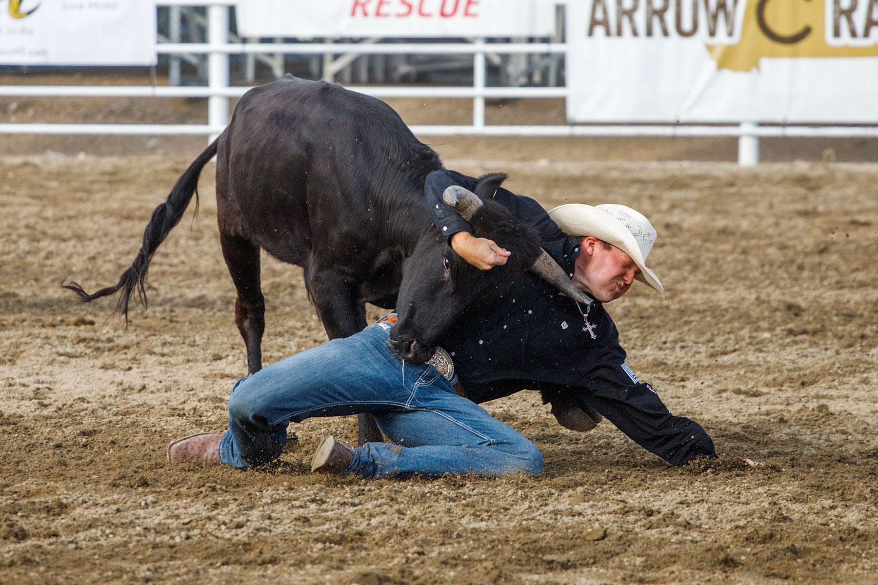 Steer Wrestling, Home of Champions Rodeo, Red Lodge, MT.  Click for next photo.