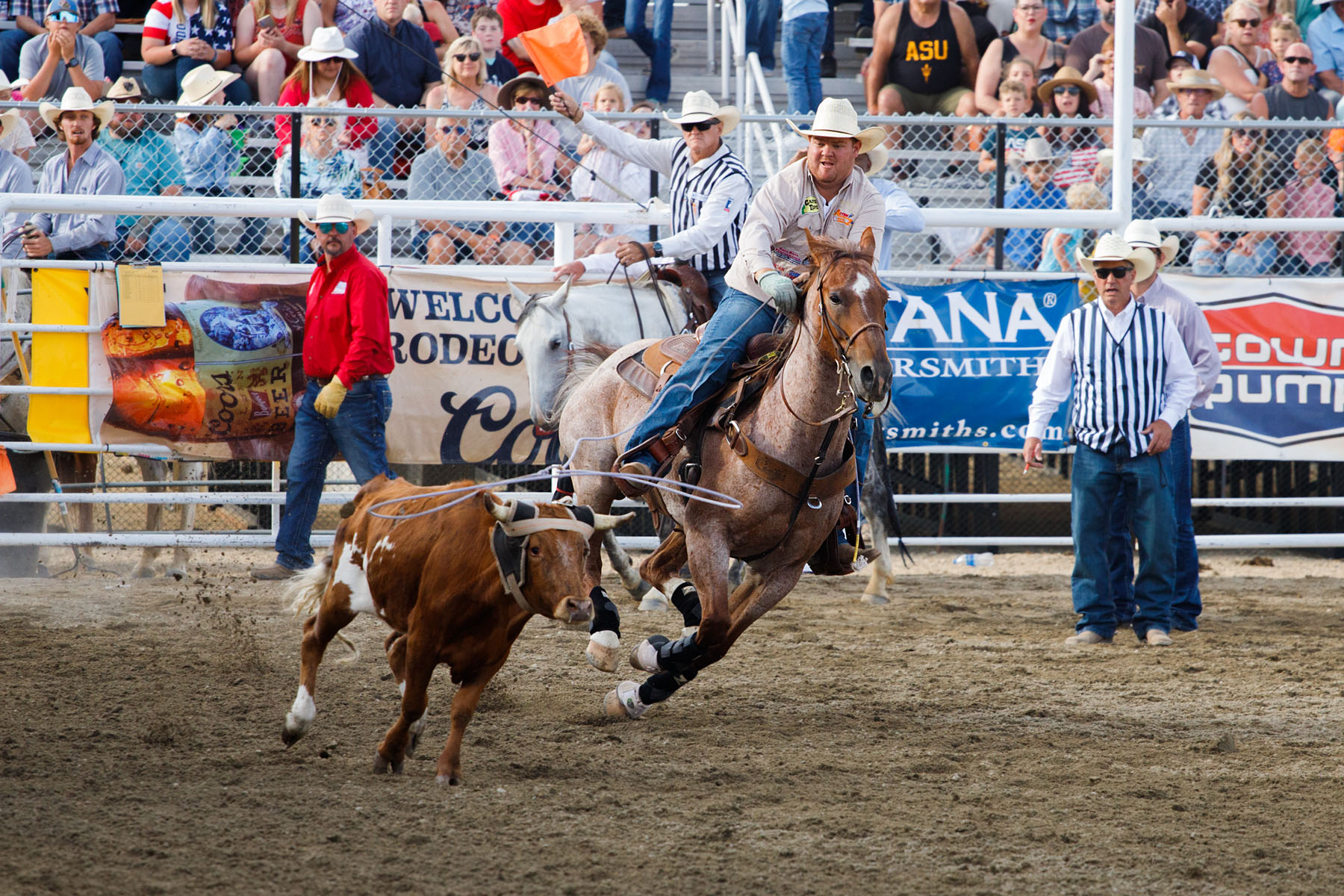 Team Roping, Home of Champions Rodeo, Red Lodge, MT.  Click for next photo.