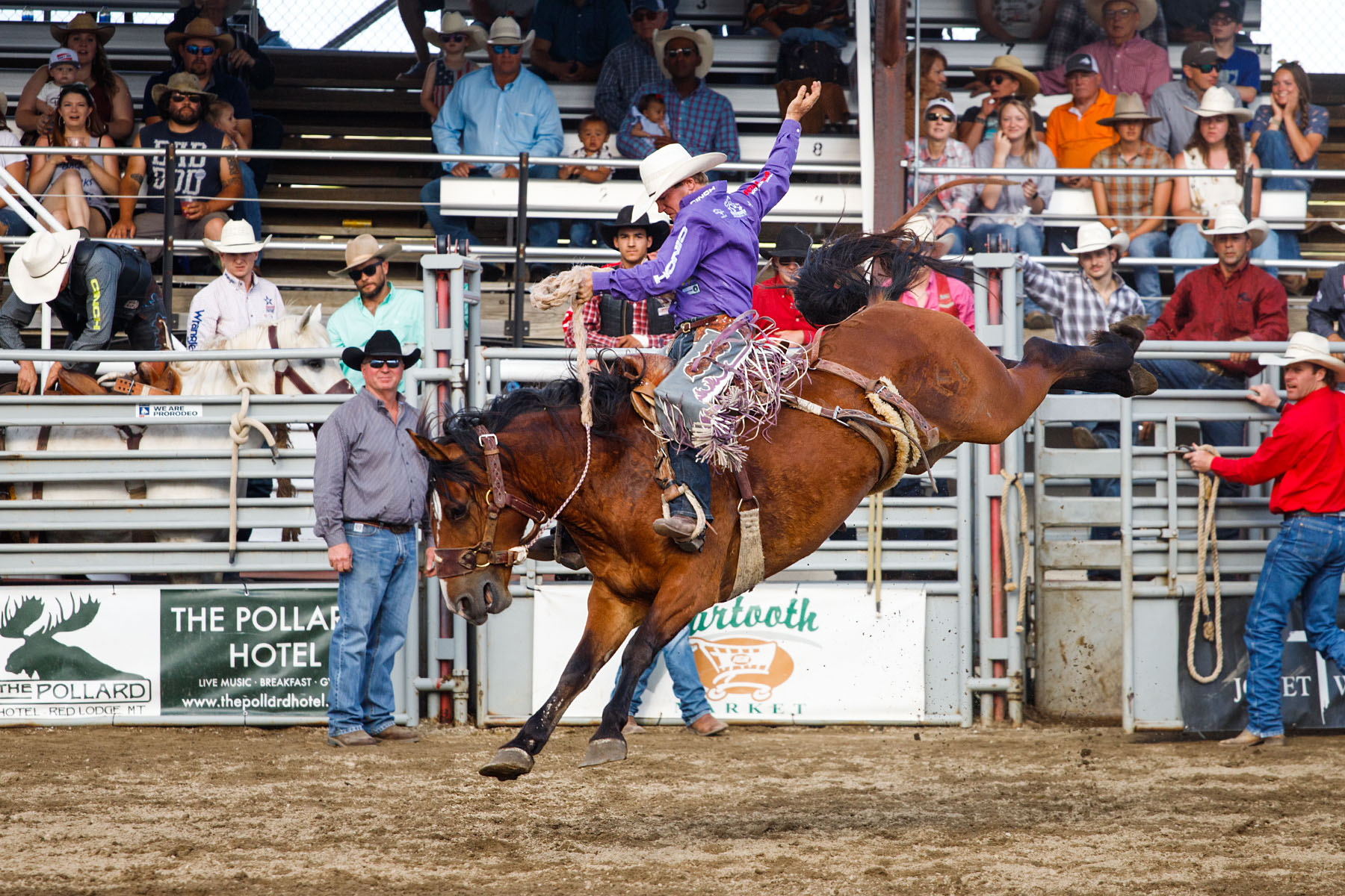 Saddle Bronc, Home of Champions Rodeo, Red Lodge, MT.  Click for next photo.