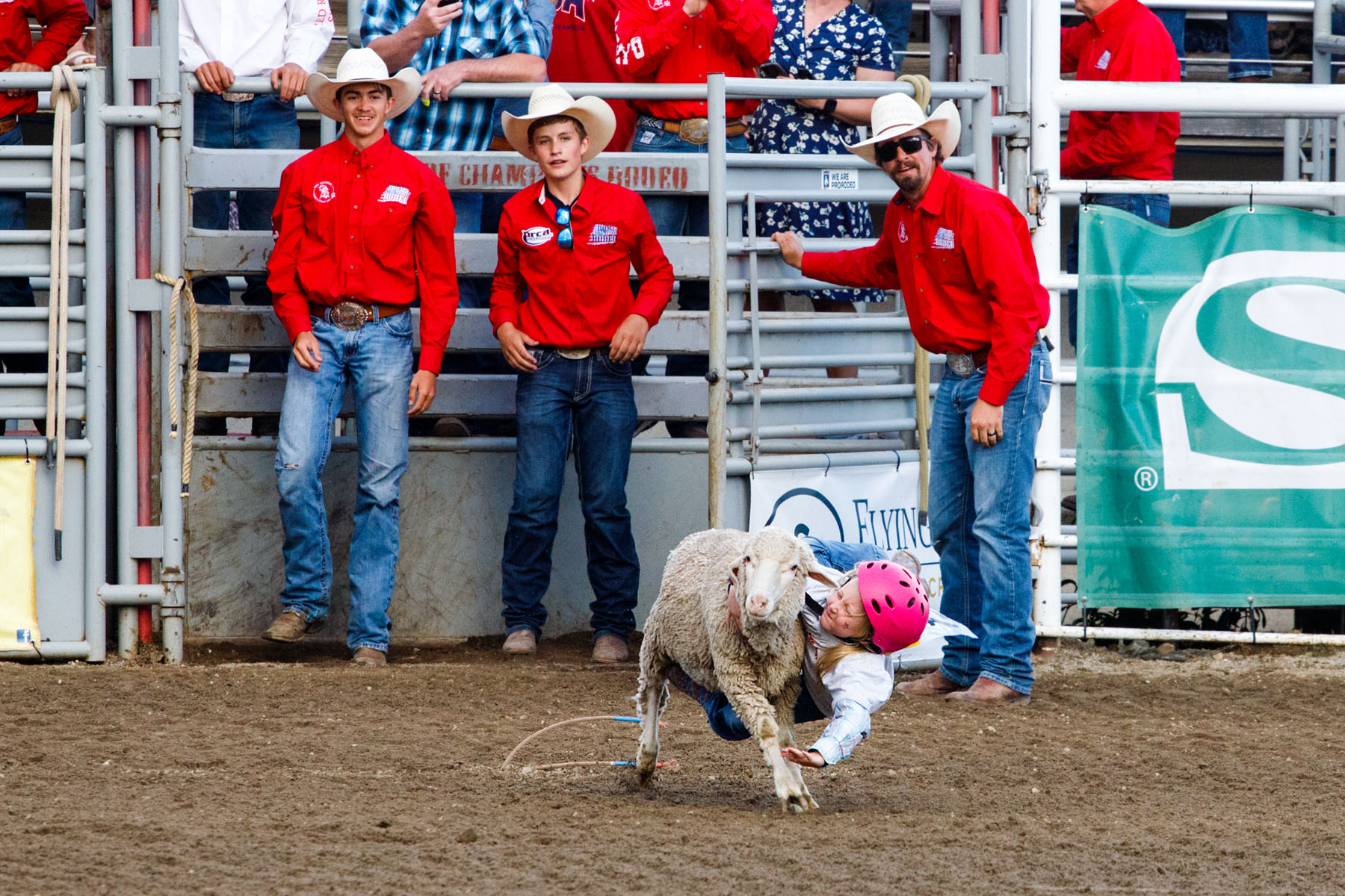 Mutton Busting, Home of Champions Rodeo, Red Lodge, MT.  Click for next photo.