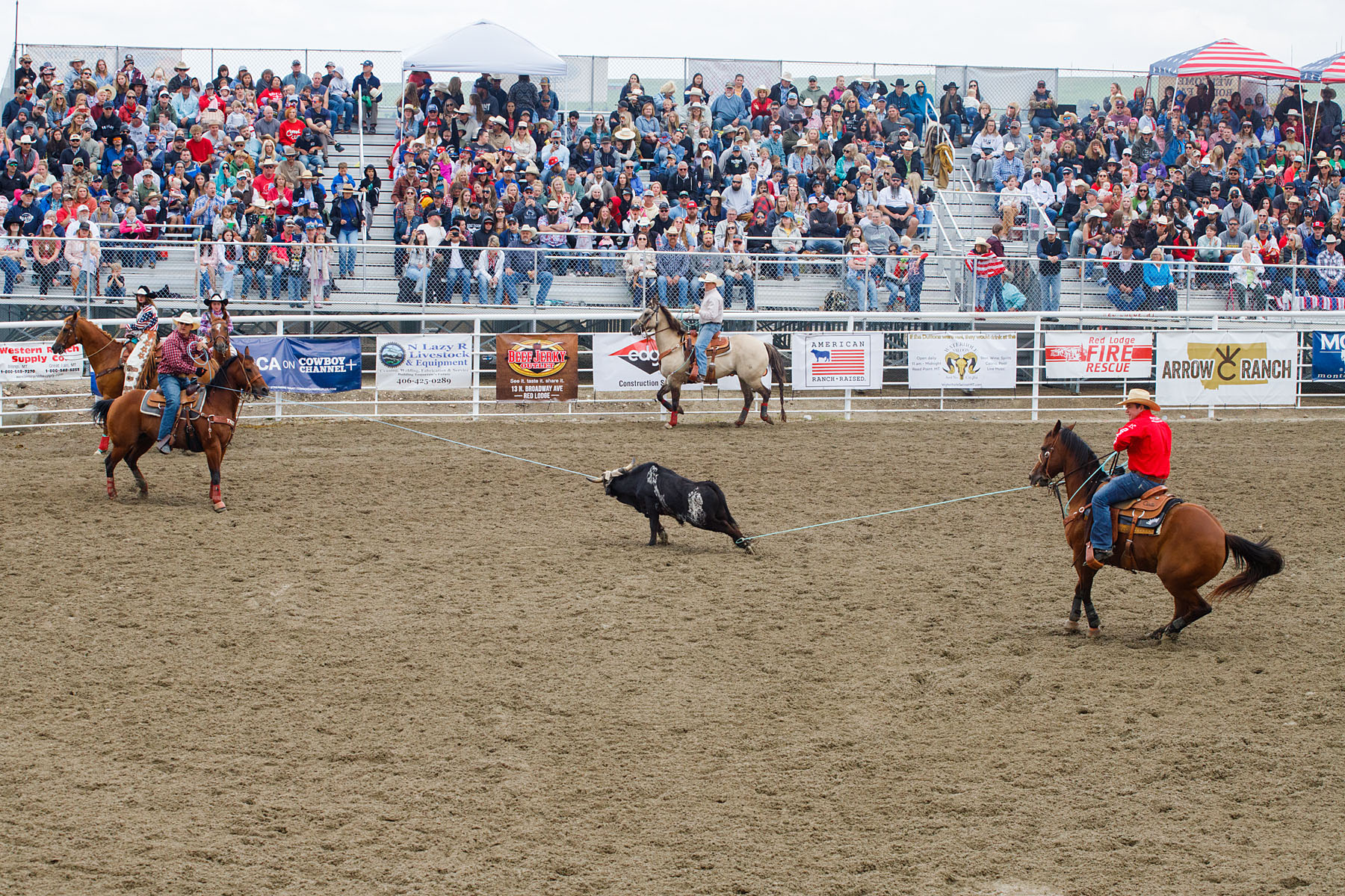 This is what it looks like if you do it right.  Team Roping, Home of Champions Rodeo, Red Lodge, MT.  Click for next photo.