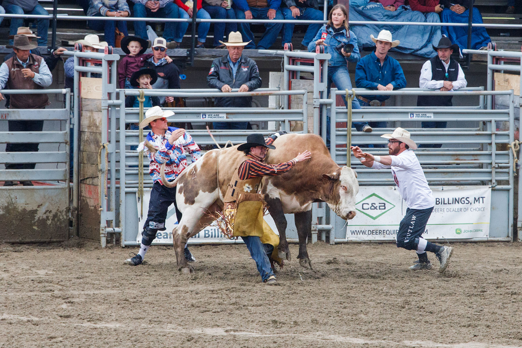 Bullfighter Ezra Coleman rushes in to help a bull rider whose hand is caught.  Bull Riding, Home of Champions Rodeo, Red Lodge, MT.  Click for next photo.