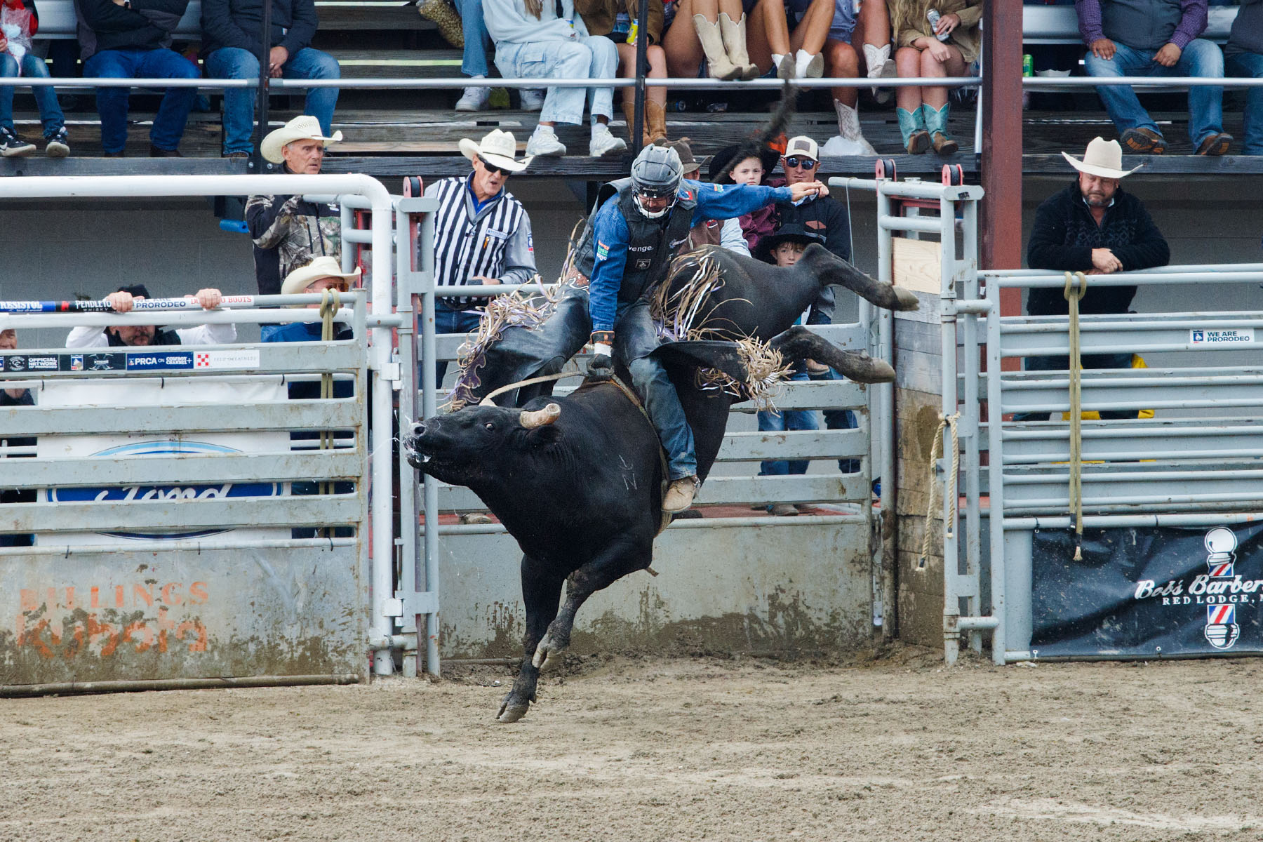 Bull Riding, Home of Champions Rodeo, Red Lodge, MT.  Click for next photo.