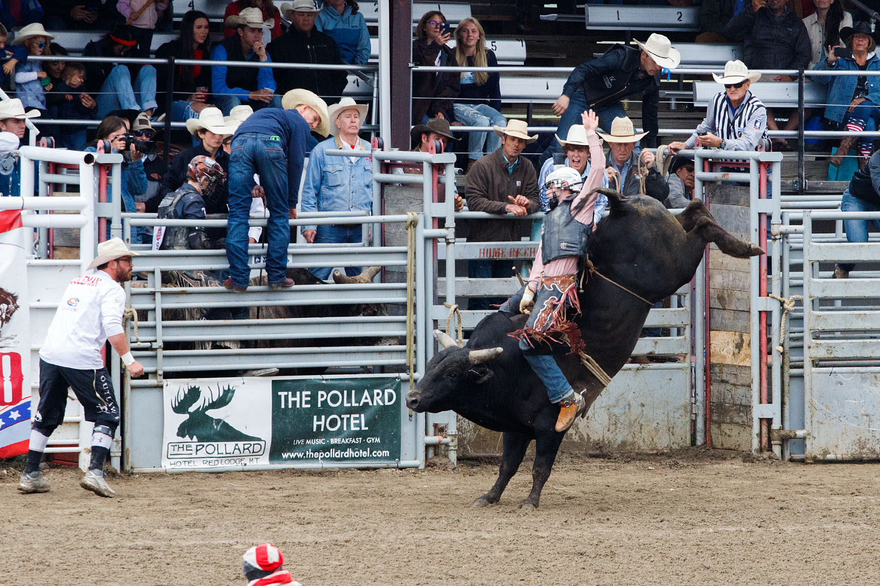 Bull Riding, Home of Champions Rodeo, Red Lodge, MT.  Click for next photo.