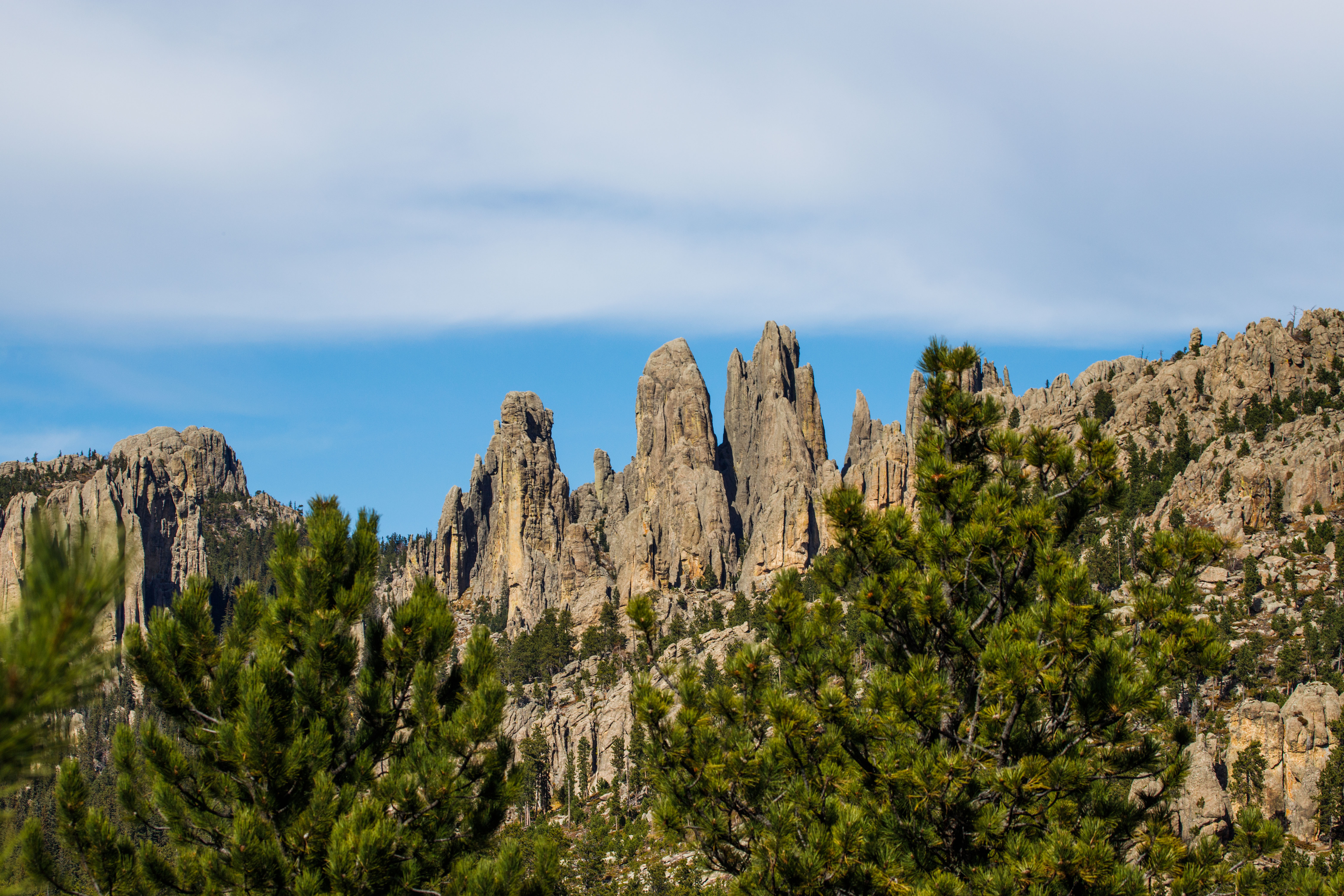 The Needles, Custer State Park.  Click for next photo.