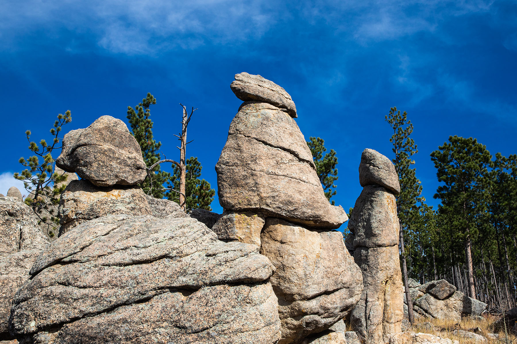 Rock formations in The Needles, Custer State Park.  Click for next photo.