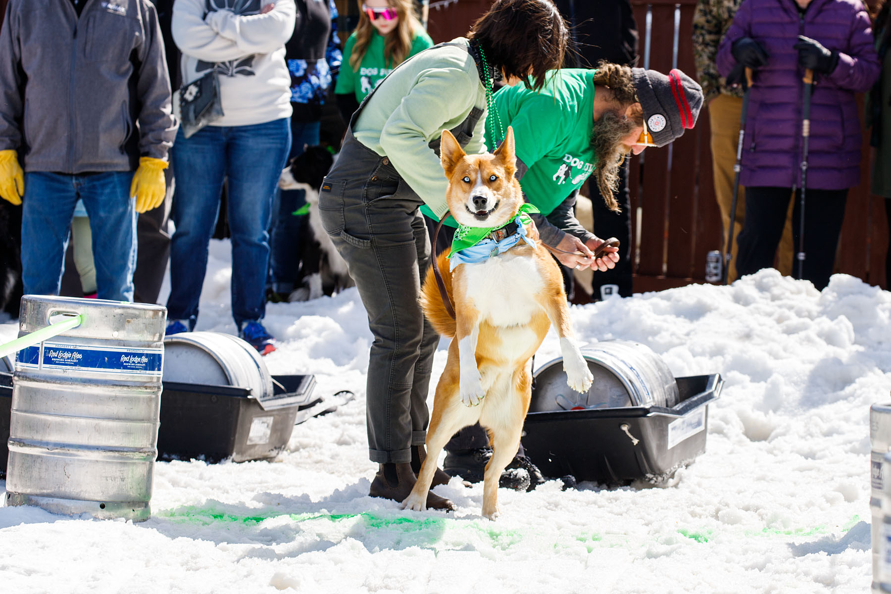 An annual winter event in Red Lodge, the Red Lodge Ales Dog Pull.  Click for next photo.