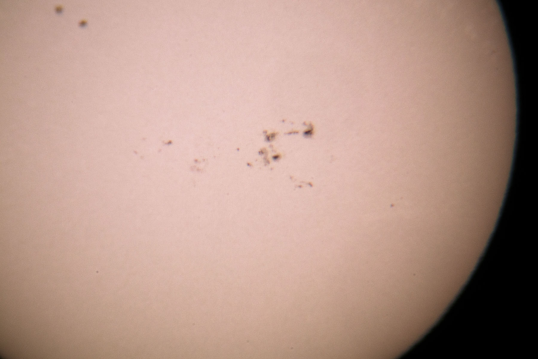 Closeup of sun.  Shot through Televue telescope with M100 camera, 20mm eyepiece and Scopetronix MaxView I (with Barlow).  Click for next photo.