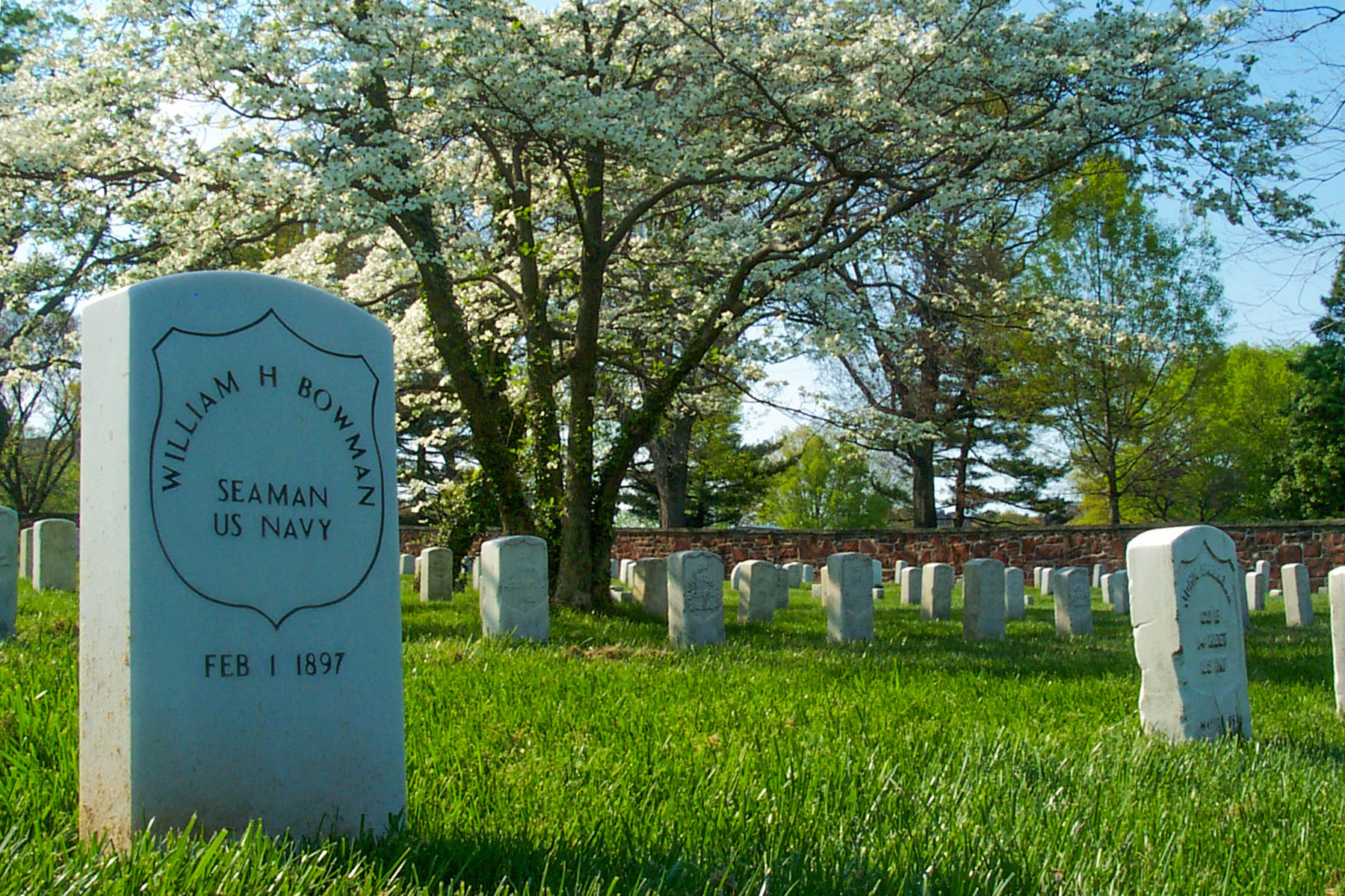 Arlington National Cemetery.  Click for next photo.