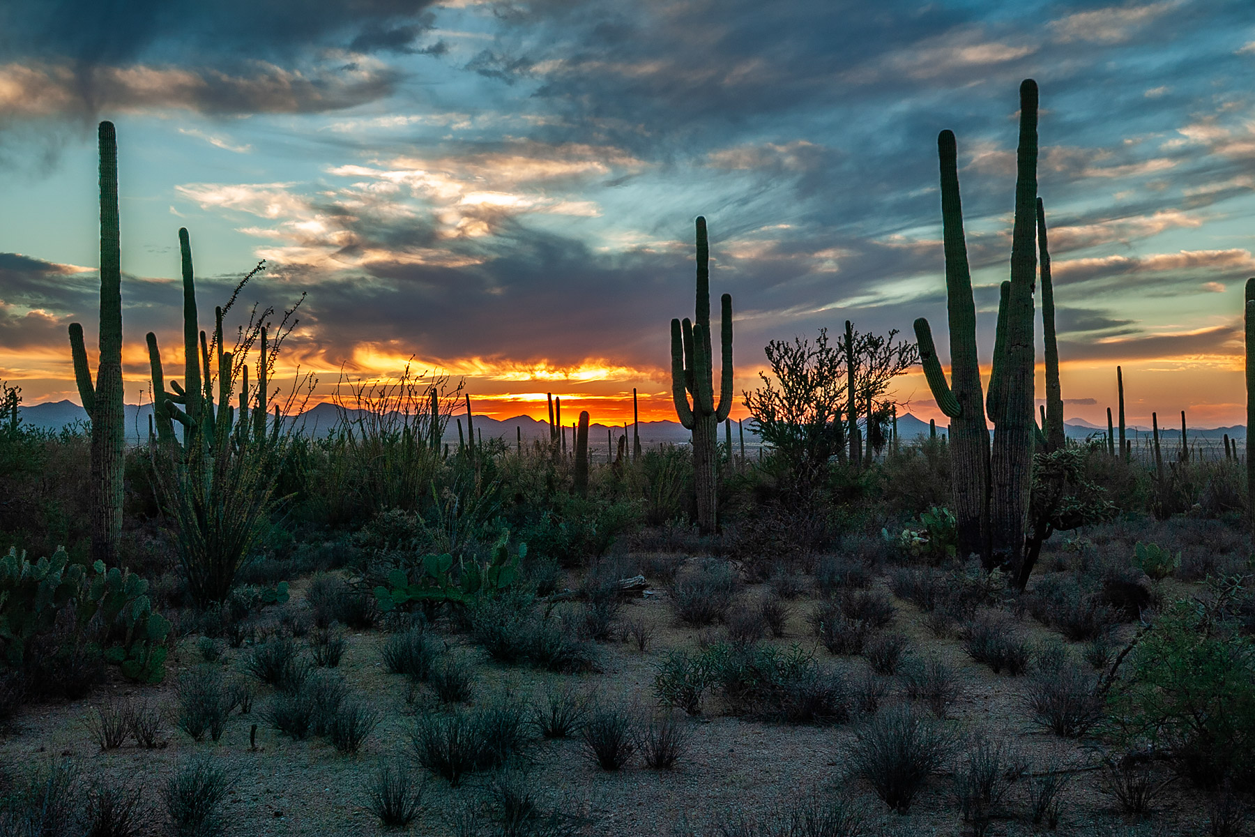 Sunset in Arizona.  Click for next photo.