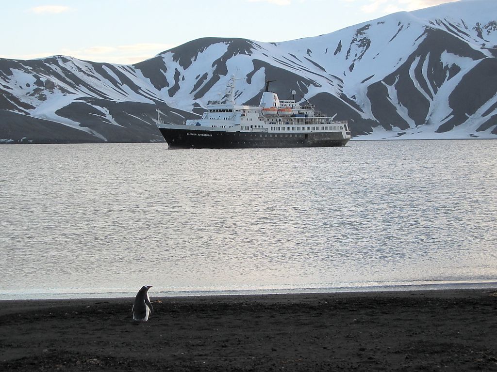 A lone gentoo patrols the beach inside the volcanic crater of Deception Island, late evening Dec. 5.  Click for next photo.