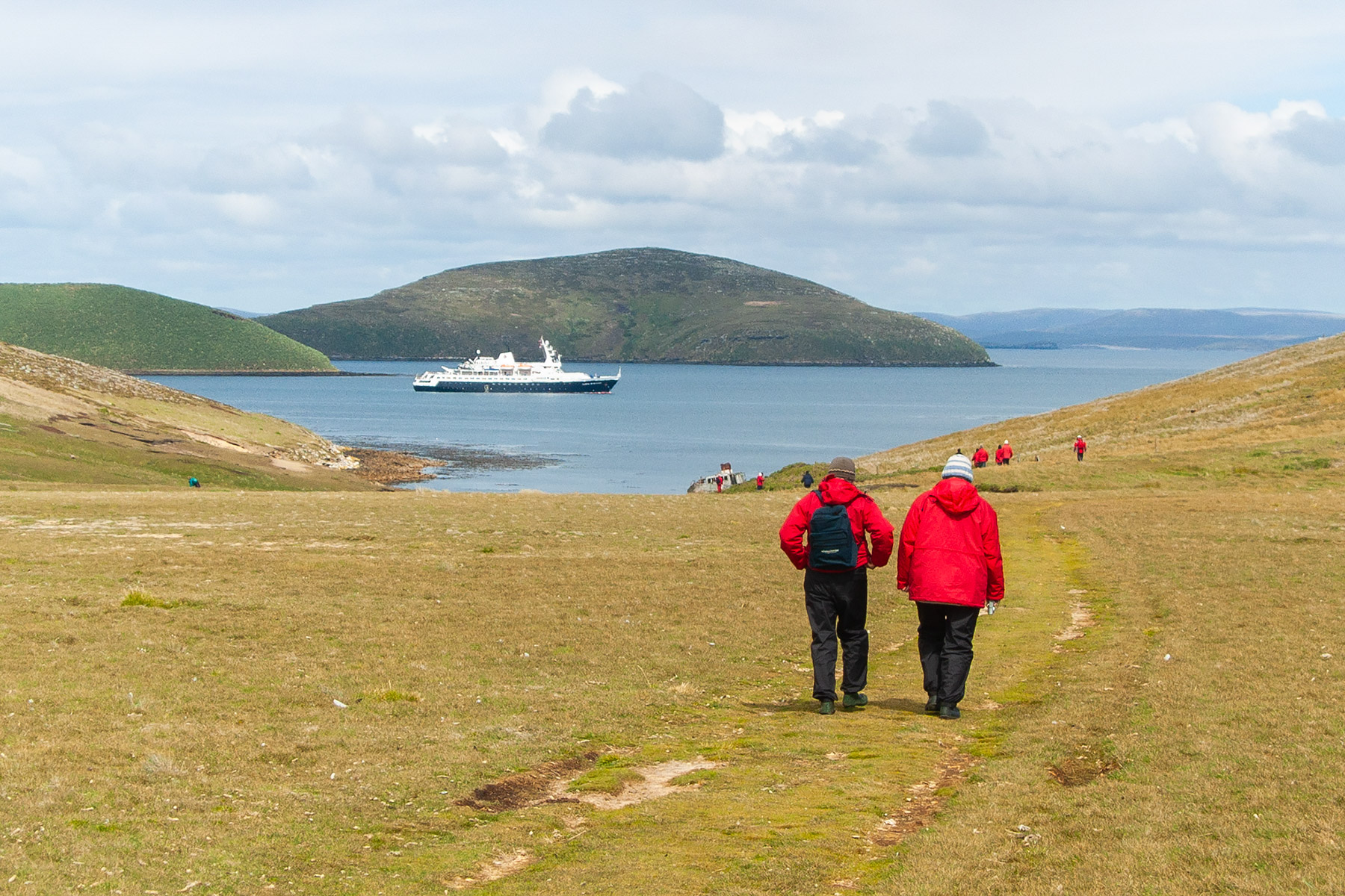We head back to the ship anchored off West Point Island in the Falklands.  Click for next photo.