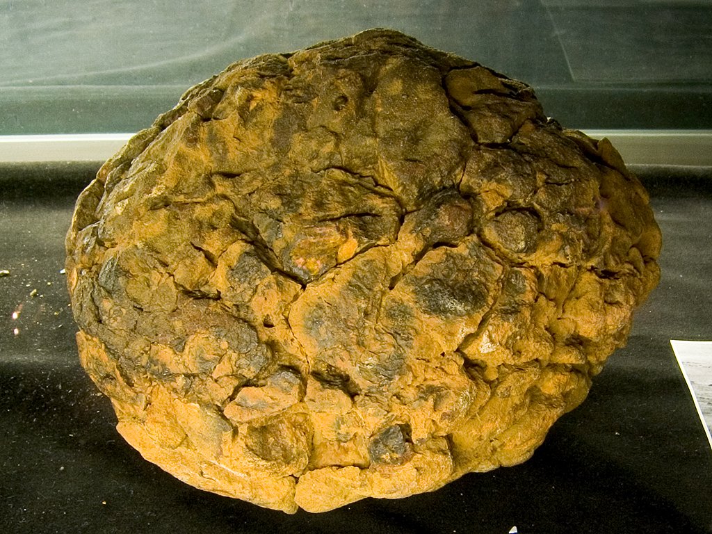 A shale ball meteorite recovered in Australia, on display at the University of New Mexico Meteorite Museum, 2004.  Click for next photo.