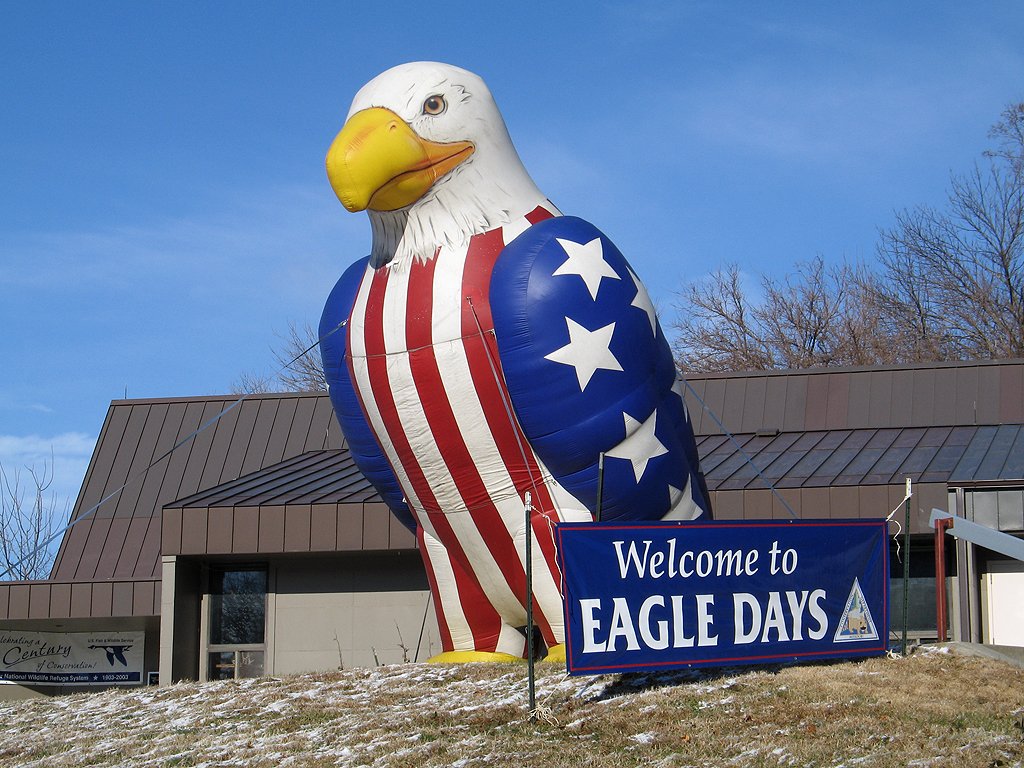 Giant rubber eagle welcomes visitors to Eagle Days, Squaw Creek NWR, Missouri.  Click for next photo.