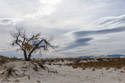 White Sands NM, New Mexico.