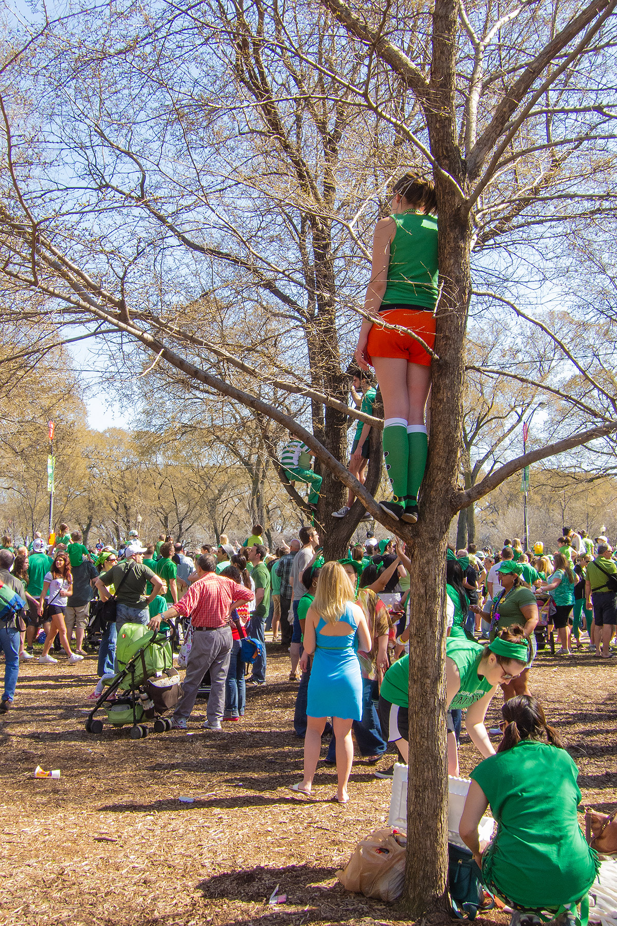 Nobody can see anything at the St. Patricks Day Parade, Chicago.  Click for next photo.