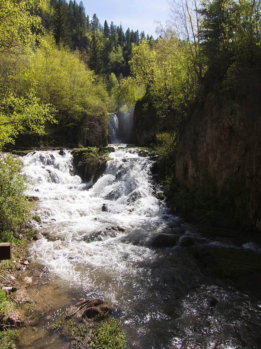 On the way to Montana, Roughlock Falls, Spearfish Canyon, SD.  Click for next photo.