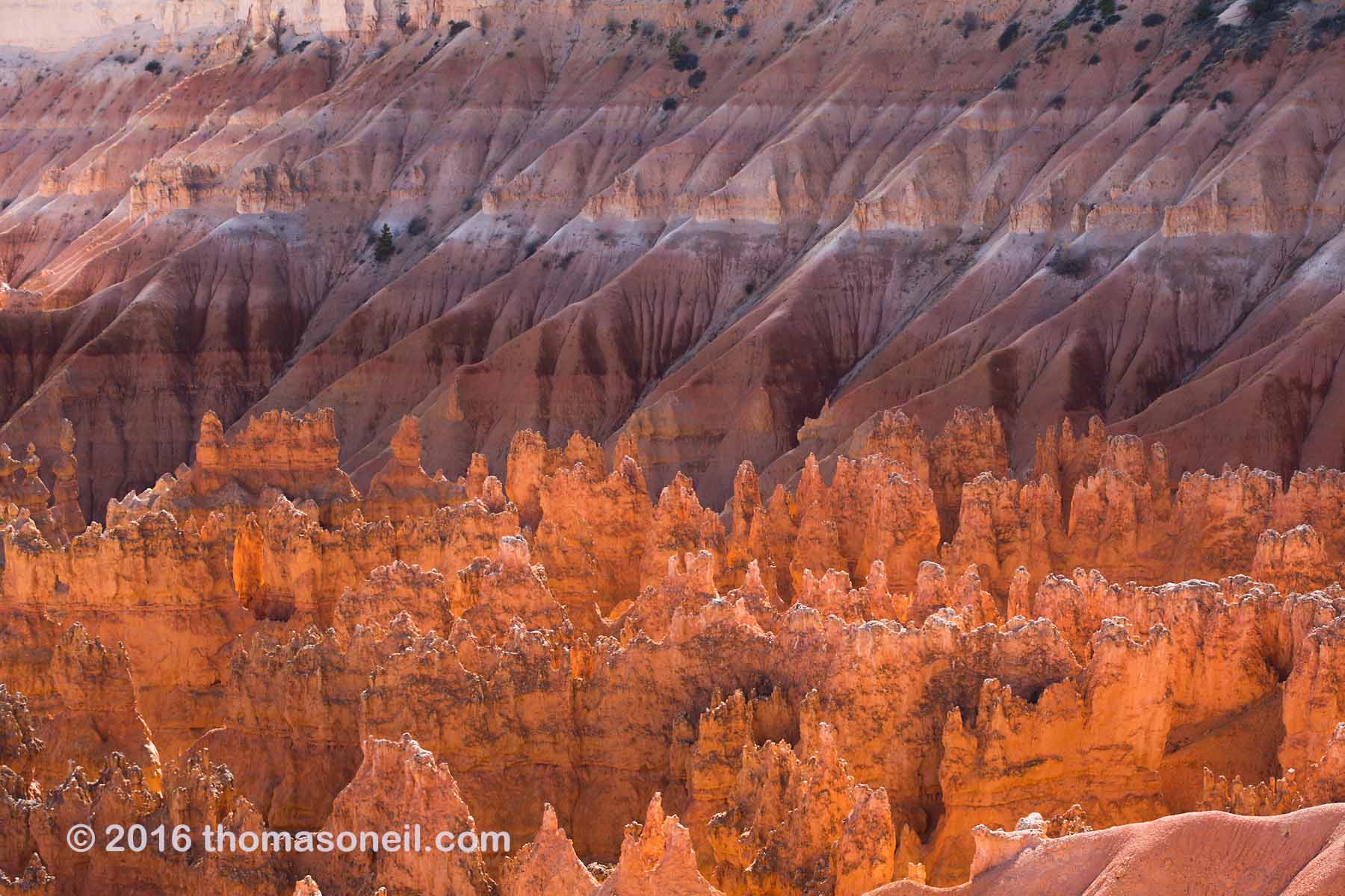 Backlit hoodoos outlined against the cliffs of Bryce Canyon.  Click for next photo.