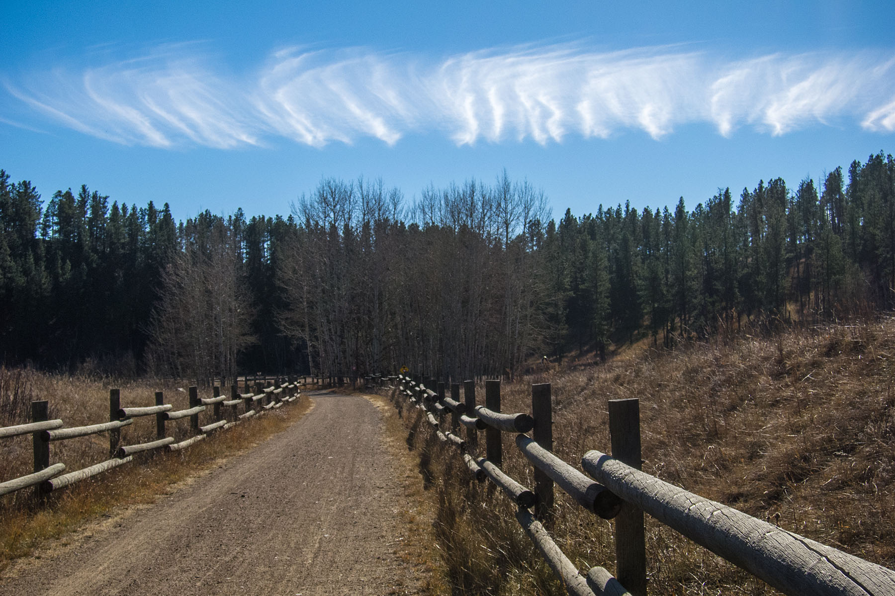 Weird cloud formations, along the Mickelson Trail north of Hill City.  Click for next photo.