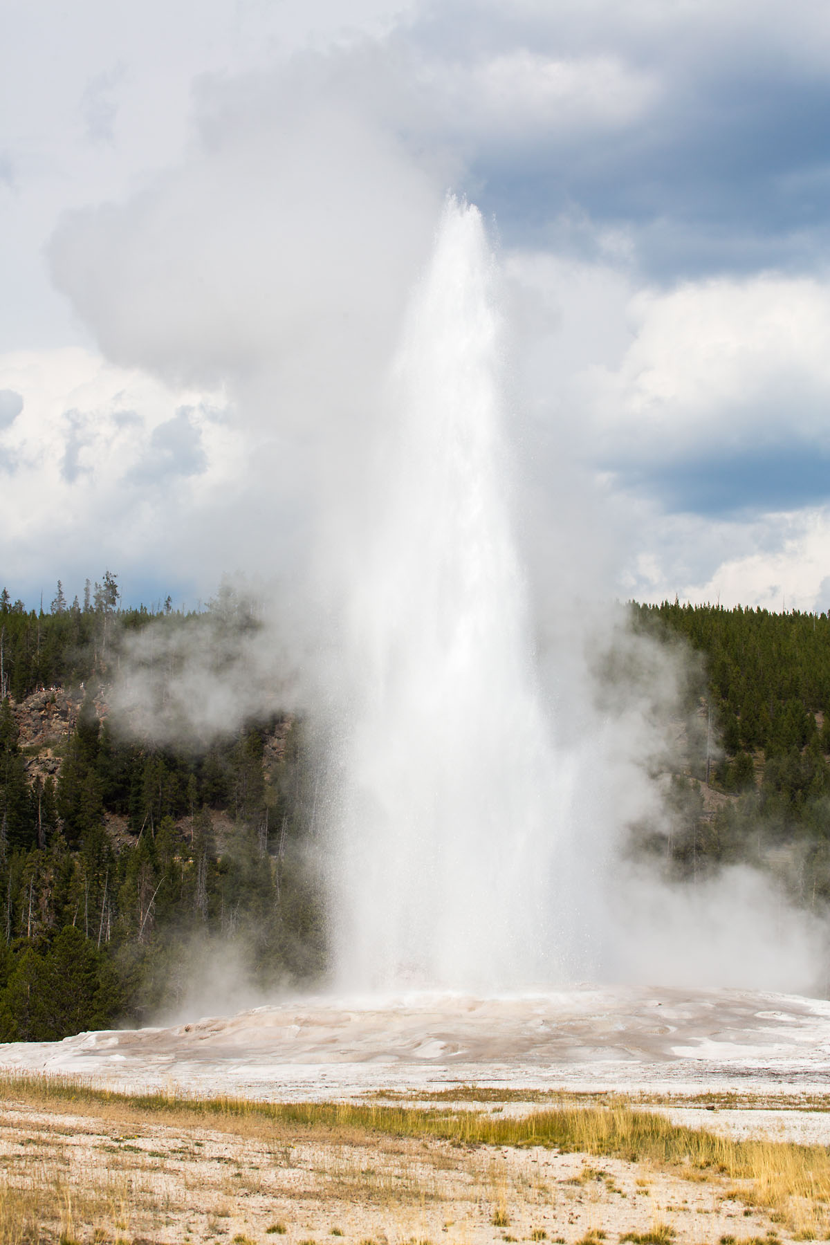 Old Faithful, Yellowstone National Park.  Click for next photo.