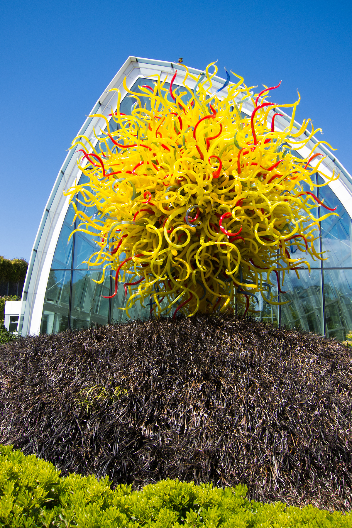 Chihuly Garden and Glass museum, Seattle.  Click for next photo.