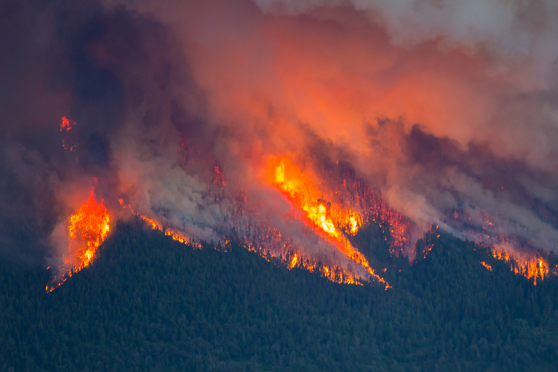 Robertson Draw Fire, Red Lodge, Montana.  Click for next photo.