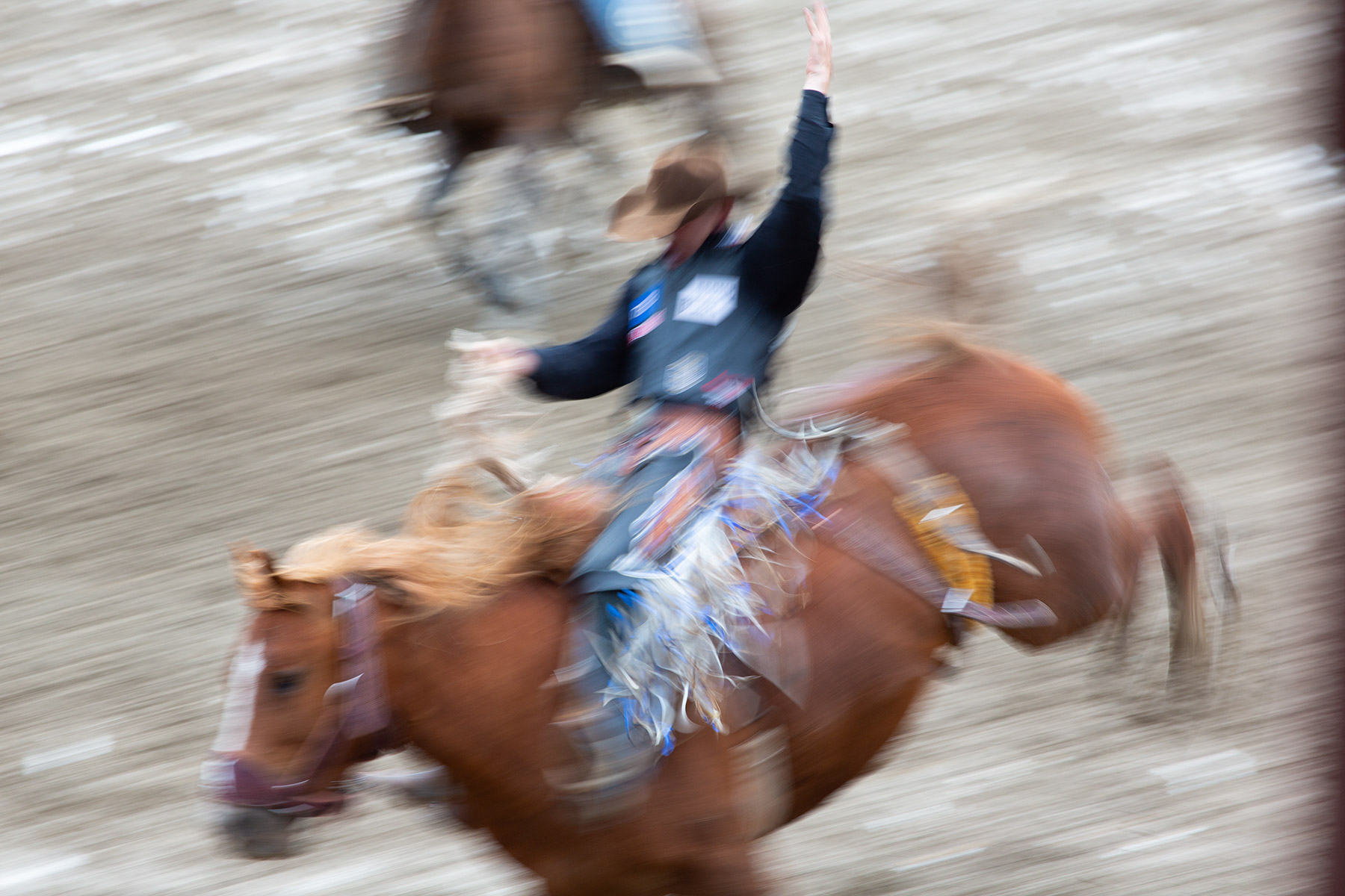 Is it art, or just a bad exposure?  Saddle bronc at Home of Champions Rodeo, Red Lodge, MT.  Click for next photo.