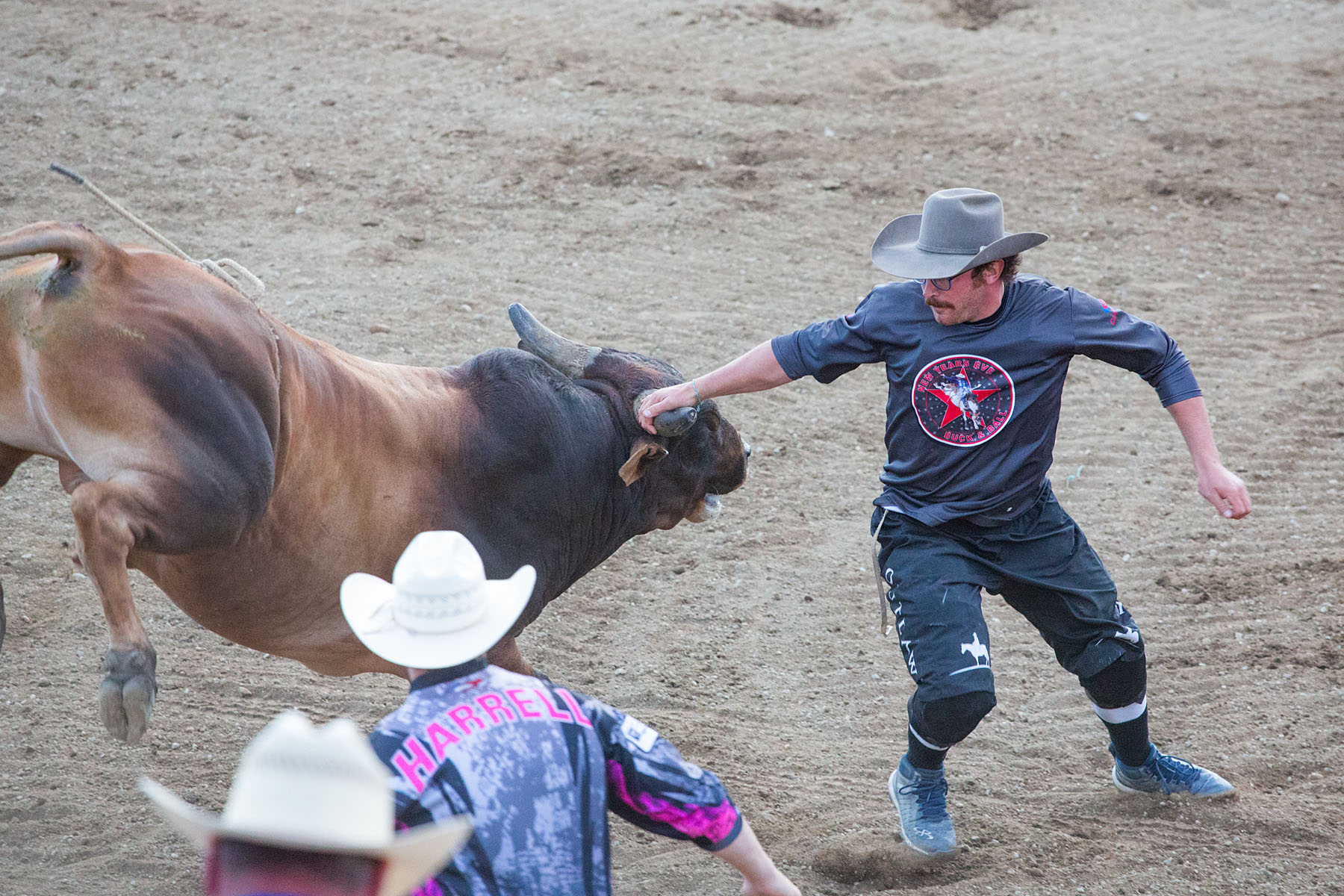 Rodeo clown tries to distract bull by grabbing the horn, Red Lodge 4th of July rodeo.  Click for next photo.